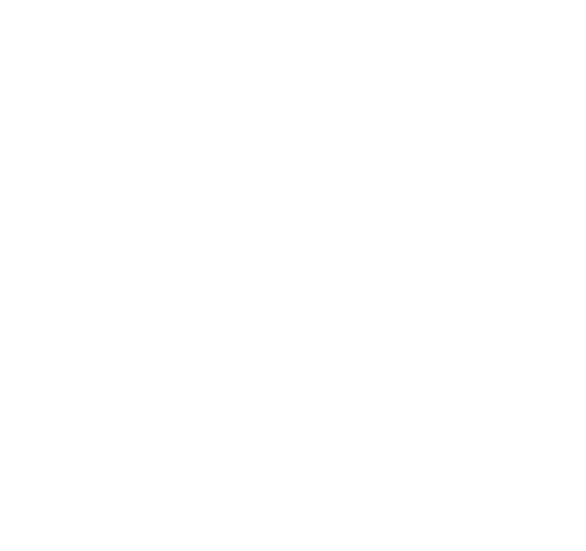 Logo LNSC 2025 wit